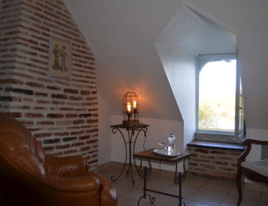 Chambres hôtes Chaumont sur Loire, chambre Bergeronnette, vue fenêtre sur Loire