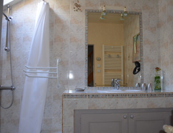 Chambres hôtes Chaumont sur Loire, chambre Verdier vue salle de douche
