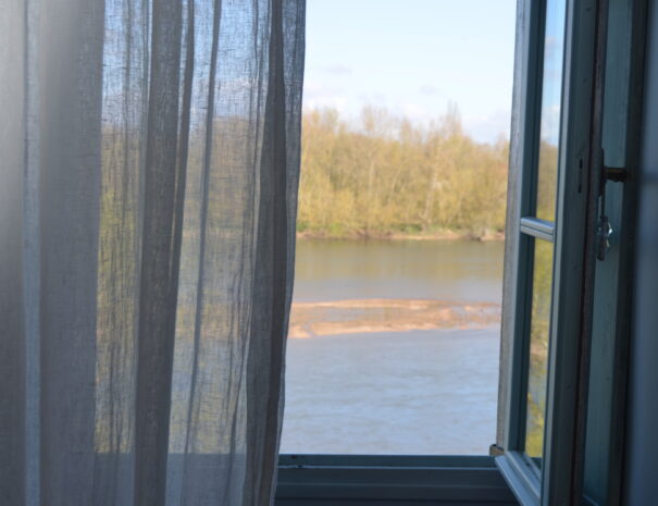 Chambres hôtes Chaumont sur Loire, chambre Martin Pêcheur vue sur la Loire