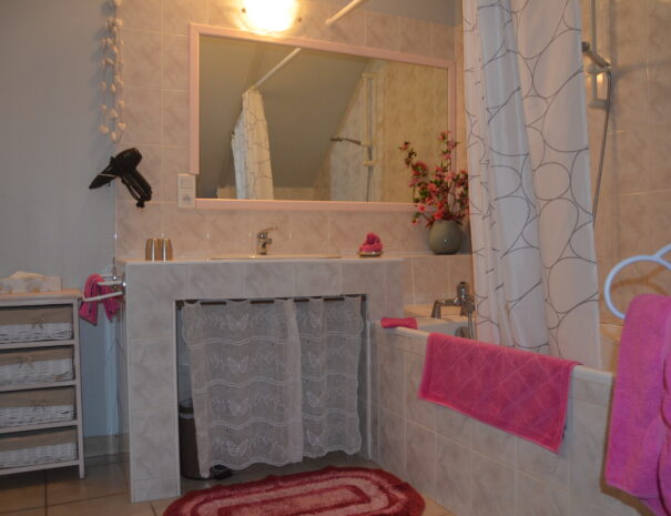 Chambres hôtes Chaumont sur Loire, chambre Bergeronnette, vue miroir salle de bain
