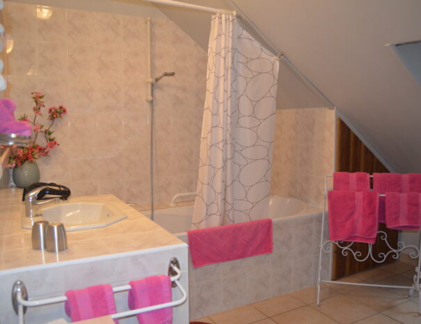 Chambres hôtes Chaumont sur Loire, chambre Bergeronnette, vue baignoire et lavabo