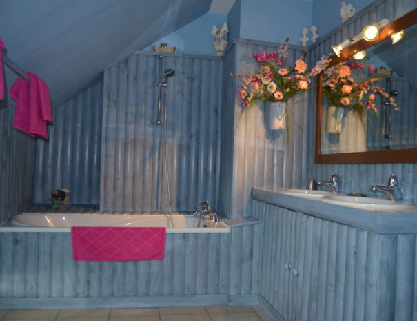 Chambres hôtes Chaumont sur Loire, chambre Martin Pêcheur vue baignoire et double lavabos