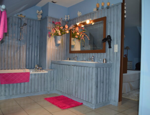 Chambres hôtes Chaumont sur Loire, chambre Martin Pêcheur vue salle de bain