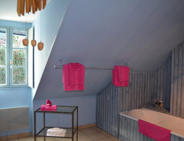 Chambres hôtes Chaumont sur Loire, chambre Martin Pêcheur vue fenêtre salle de bain